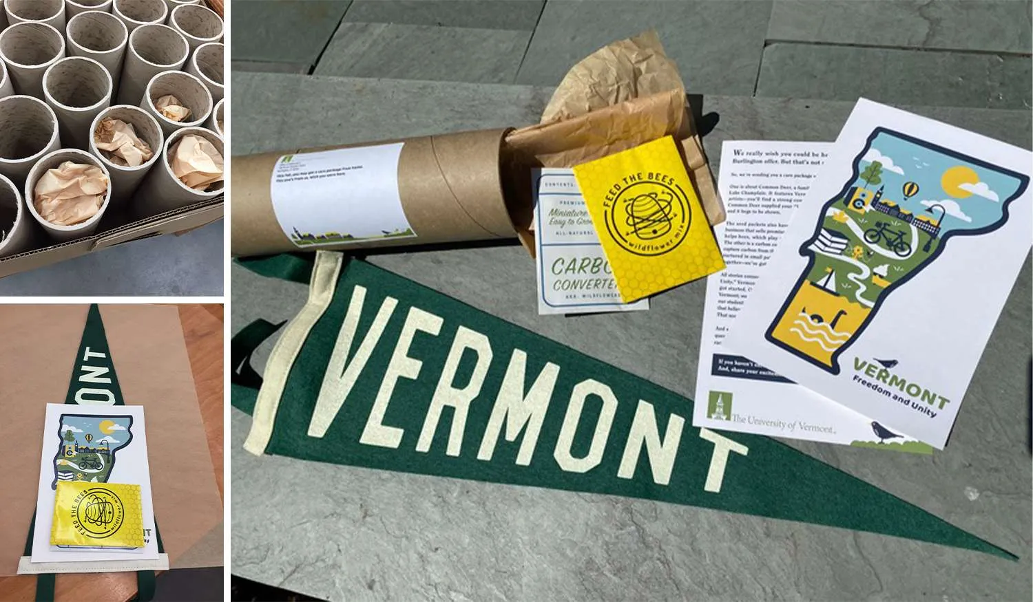 UVM enrollment mailer